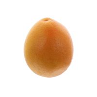 Image principale