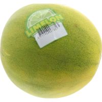 Image principale