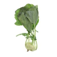 Image principale