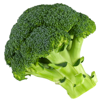 Image principale