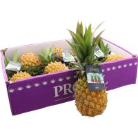 Image principale