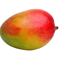 Image principale