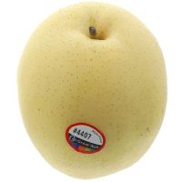 Image principale
