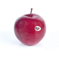 Image principale