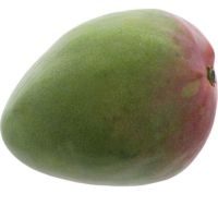 Image principale